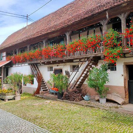 Chambres D'Hotes De Charme A La Ferme Freysz Quatzenheim Exteriér fotografie