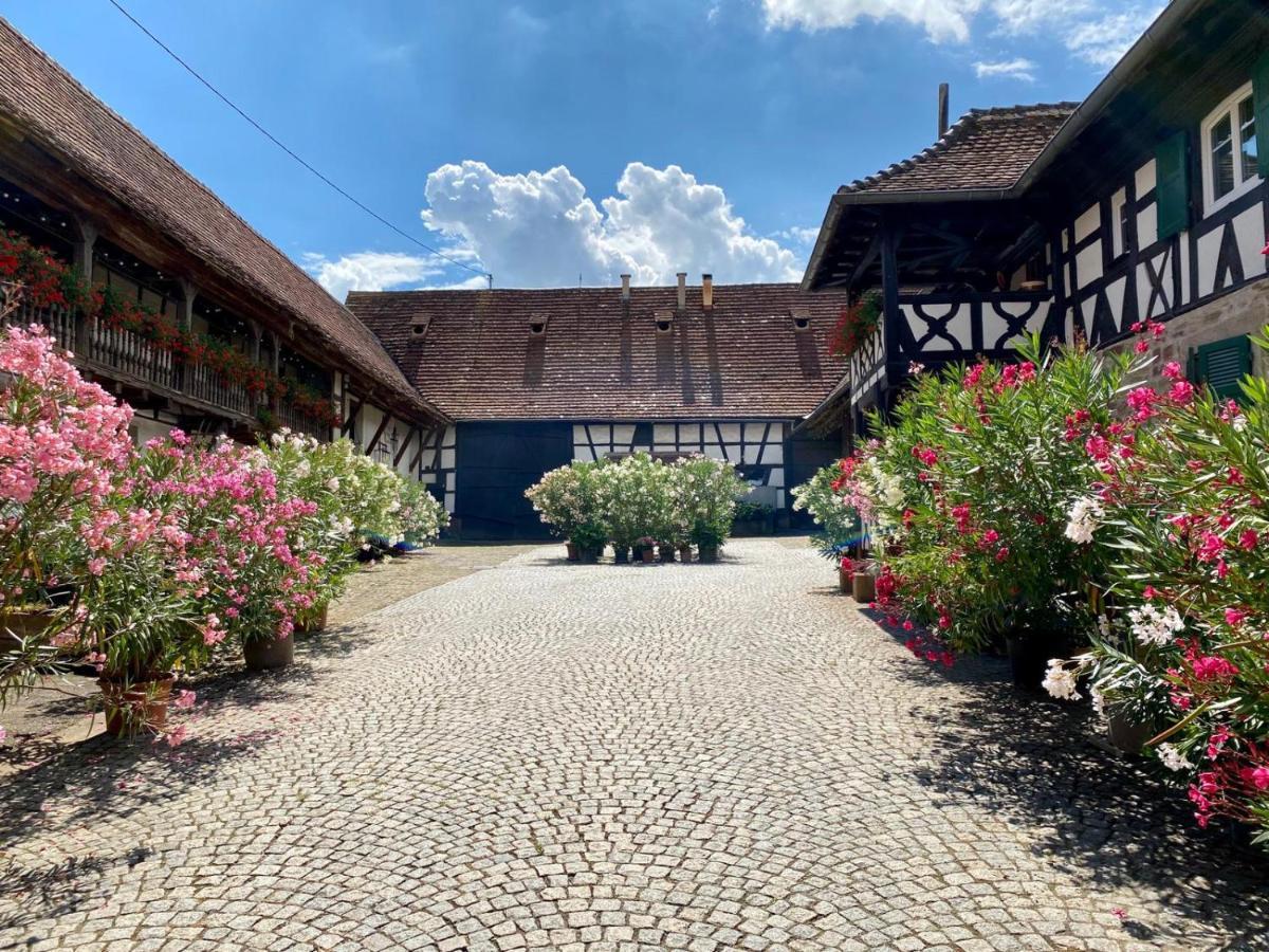 Chambres D'Hotes De Charme A La Ferme Freysz Quatzenheim Exteriér fotografie