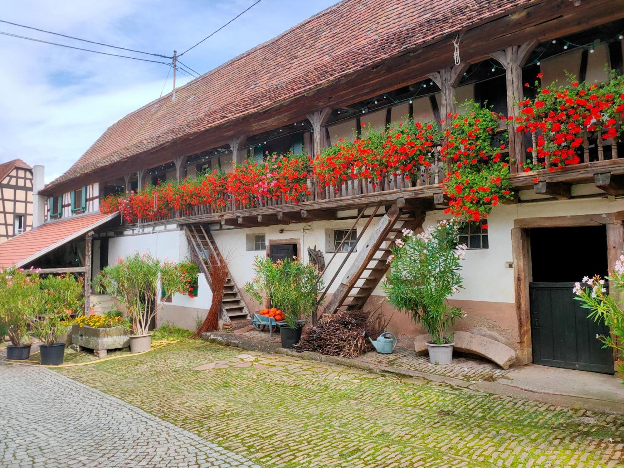 Chambres D'Hotes De Charme A La Ferme Freysz Quatzenheim Exteriér fotografie
